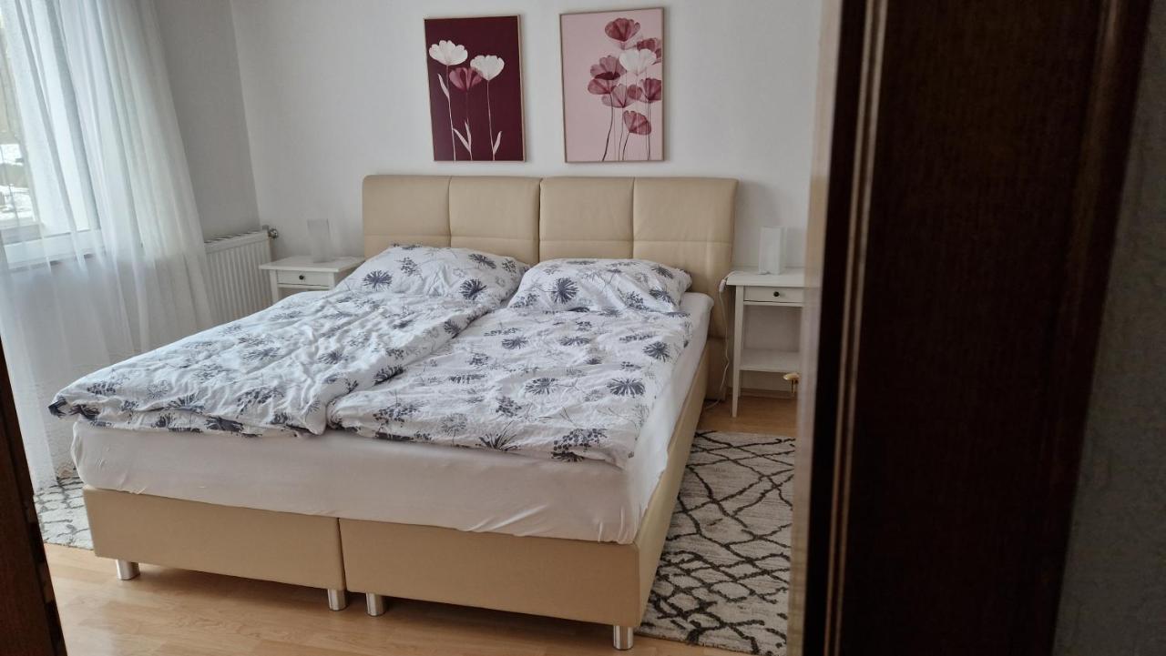 Ferienwohnung Edeltraud, Fusslaeufig Zum See Und 20 Minuten Vom Skigebiet Entfernt 도브리아흐 외부 사진